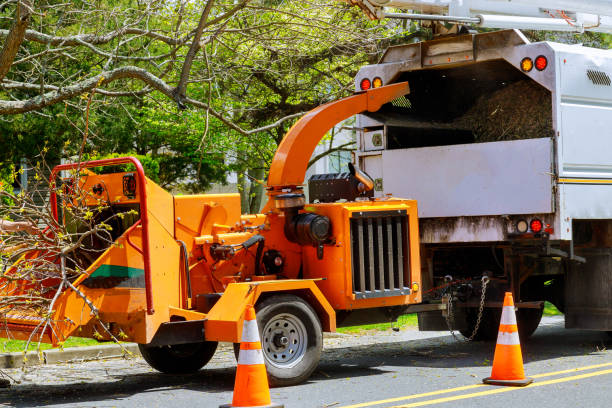 Best Lawn Grading and Leveling  in Vernon Valley, NJ